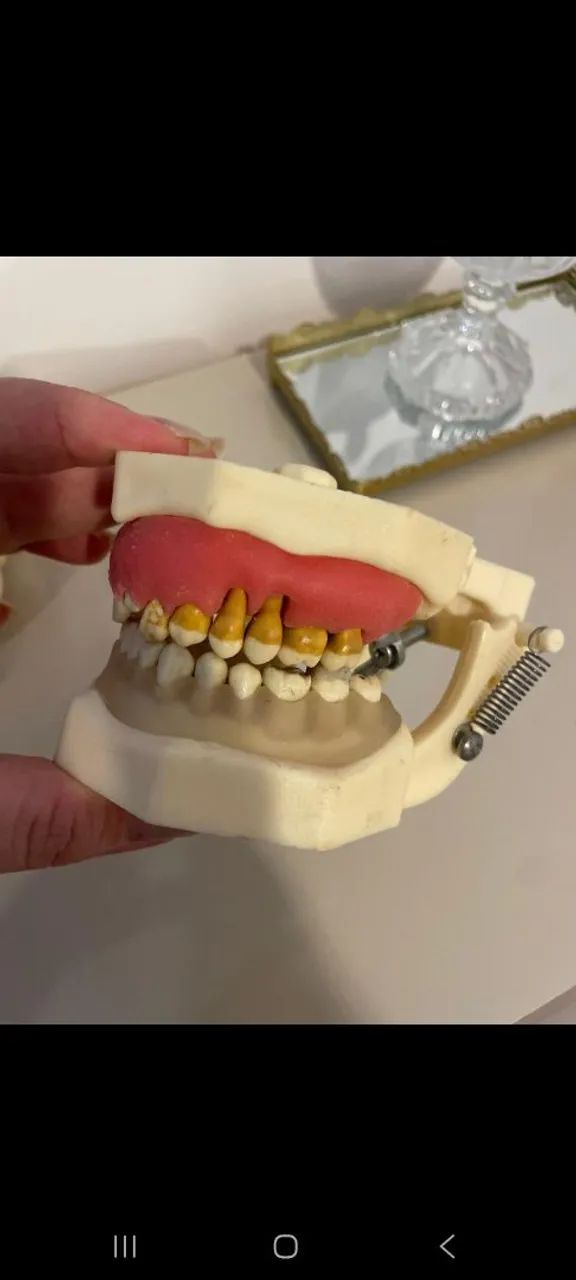 Manequim odontológico/periodontia - Foto 2