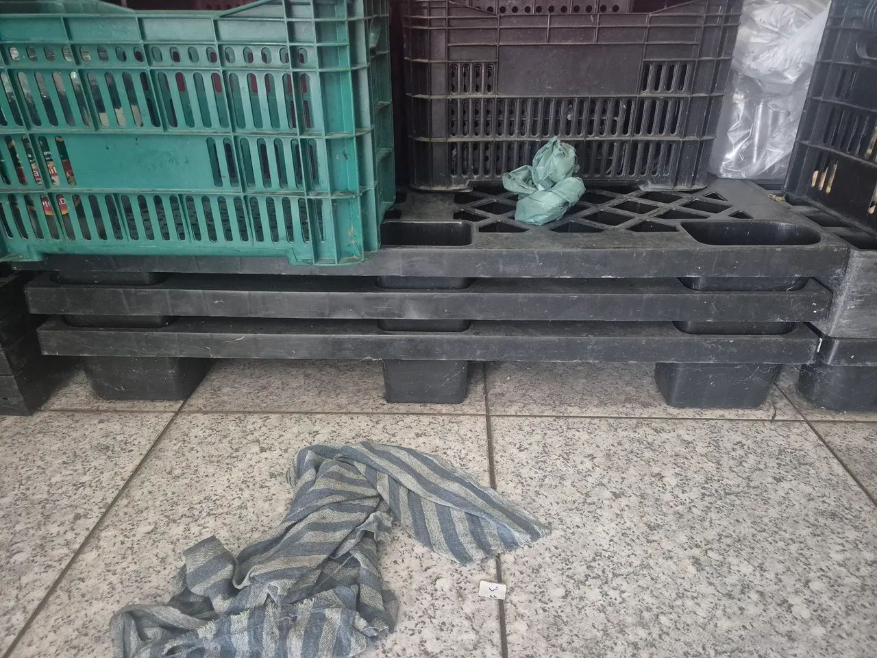 Cinco Pallets plásticos de 1,2m X 1m