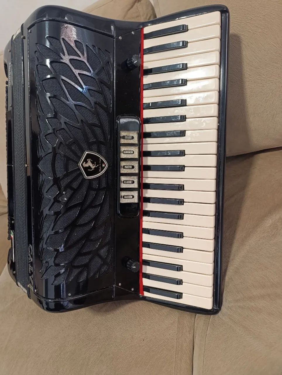 Acordeon, sanfona  - Foto 5