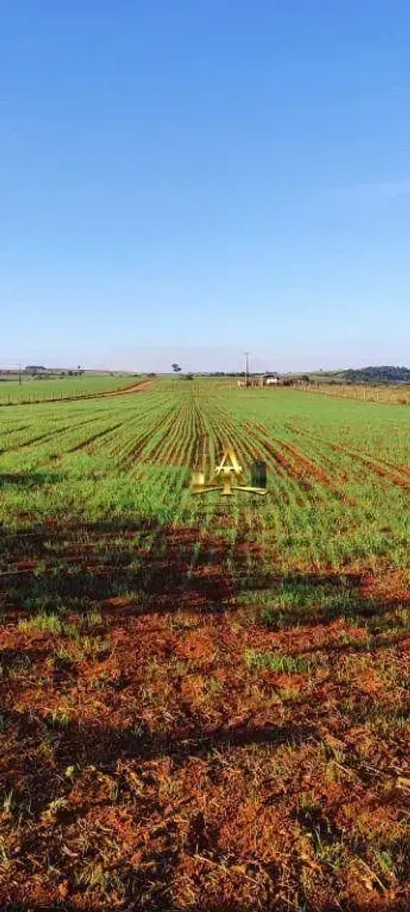 Sítio à Venda - Zona Rural - Tatuí/SP