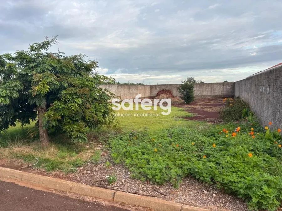 Lote urbano em Sede Alvorada. - Foto 4