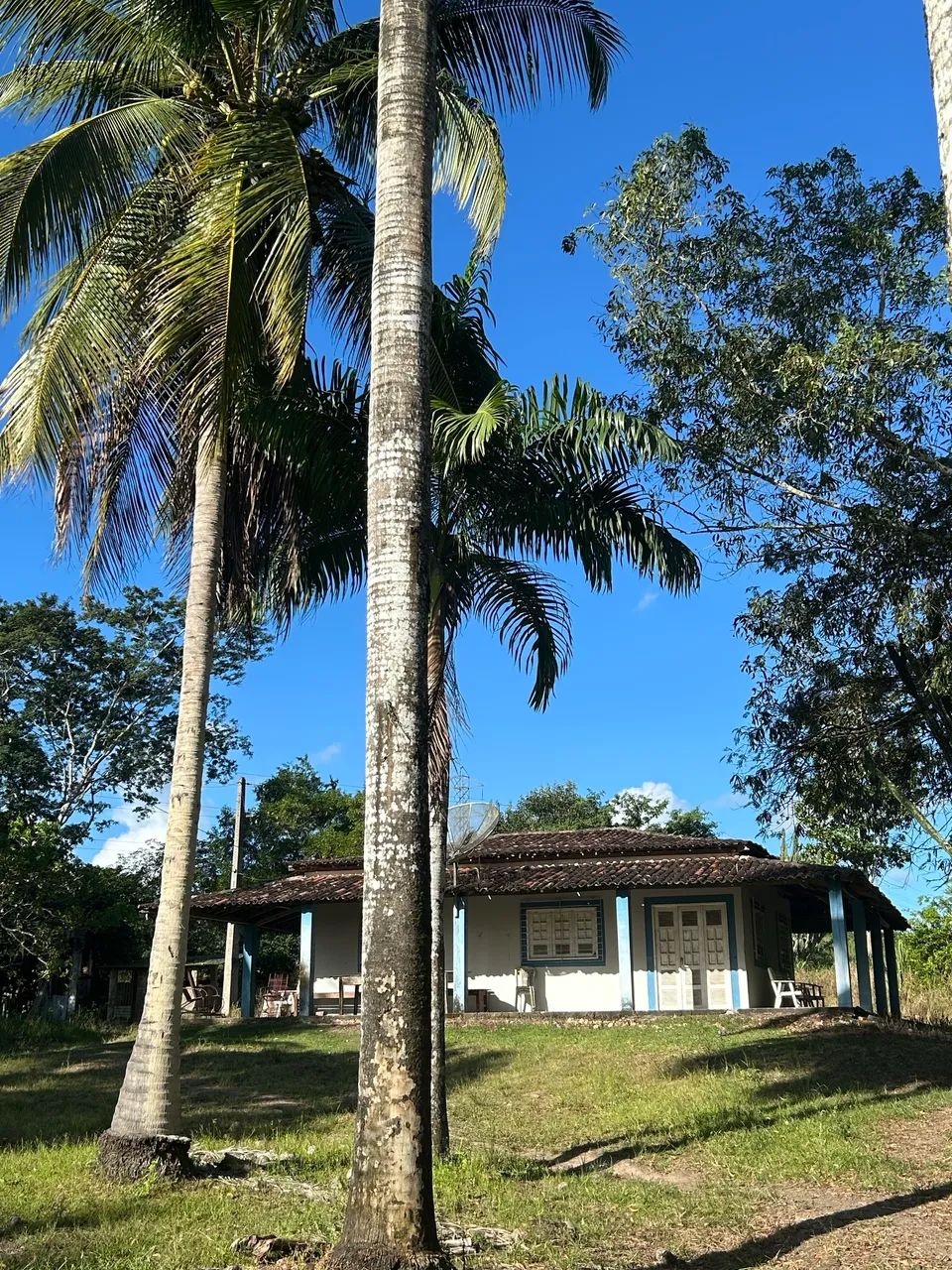 Chácara a venda 