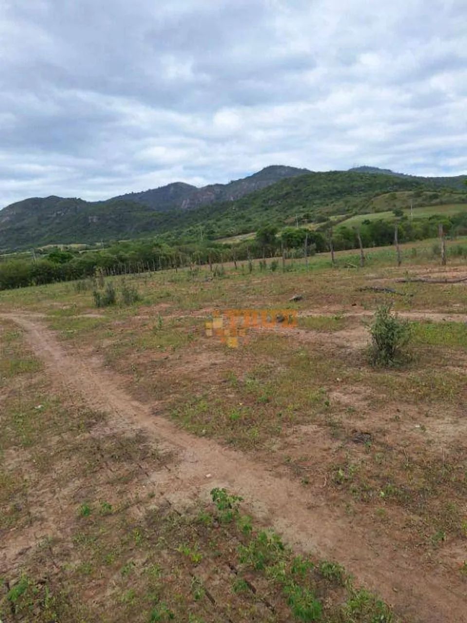 Área à venda, 1.400.000 m² - Toritama-PE. - Foto 3