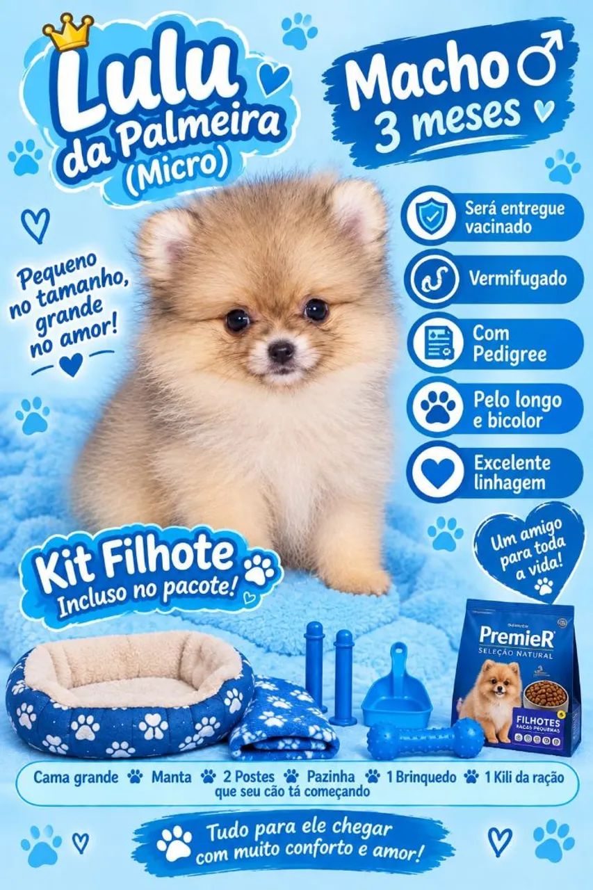 Lindos príncipes e princes disponível  - Foto 3