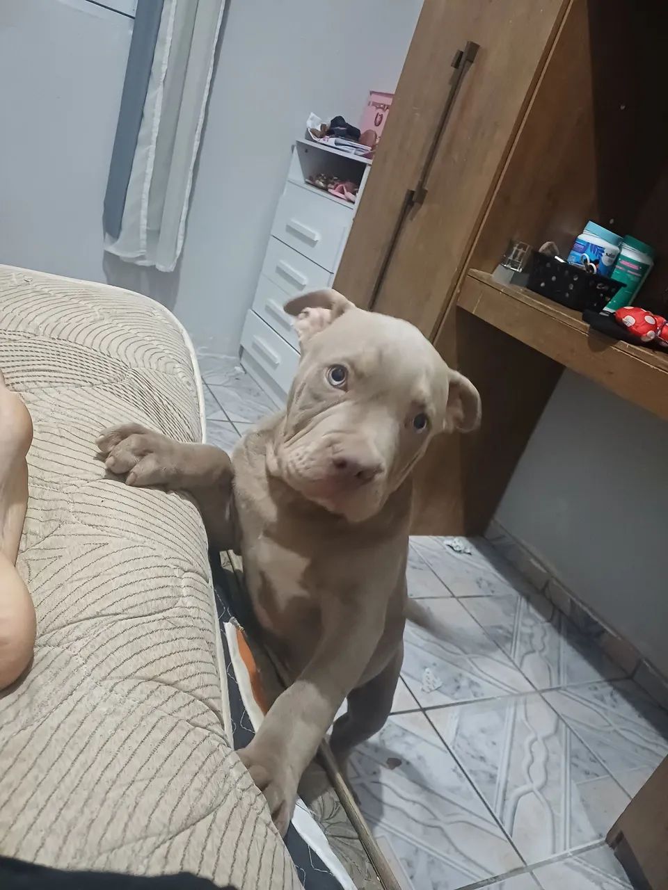 Pitmonster