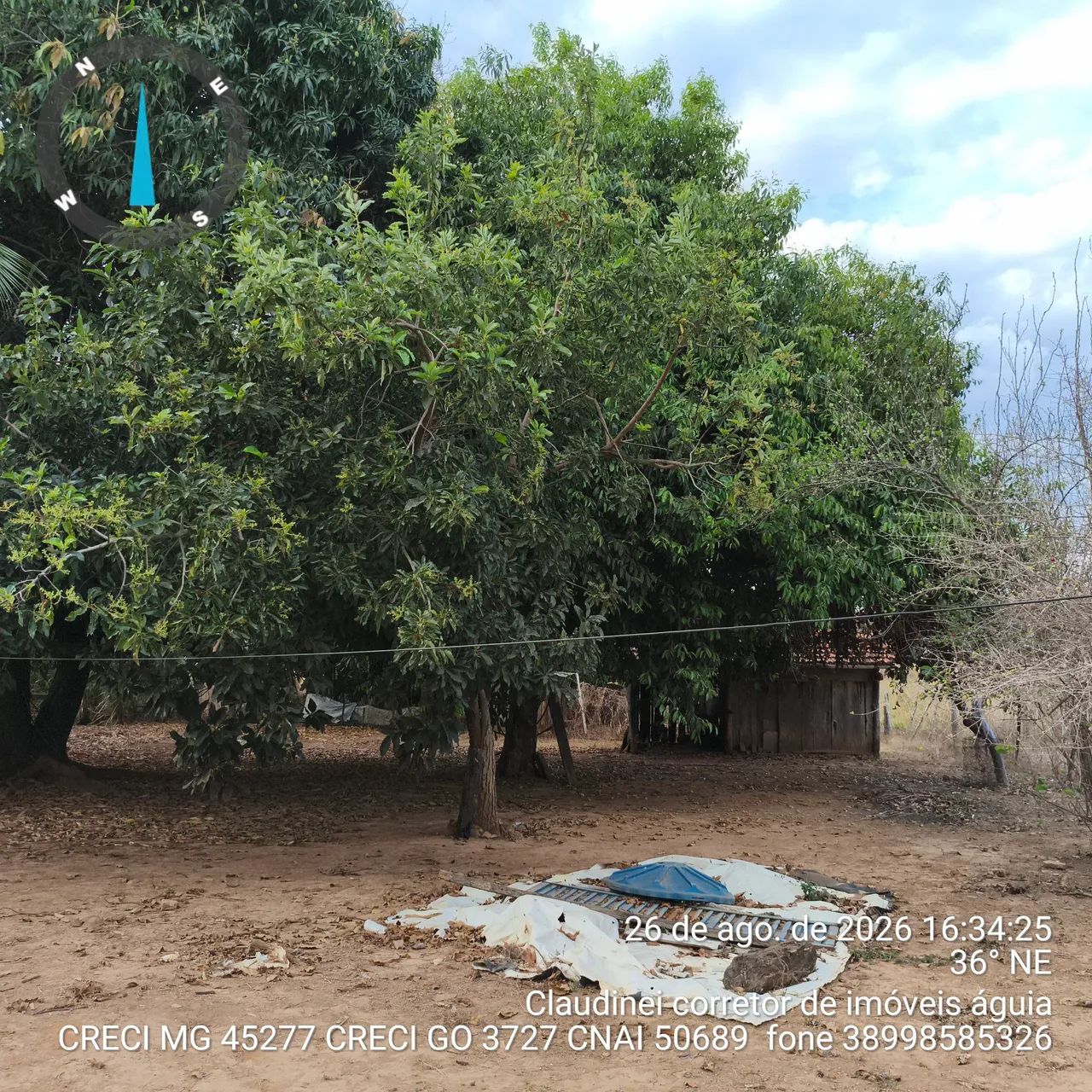 Sítio 54  hectares e meia  - Foto 4