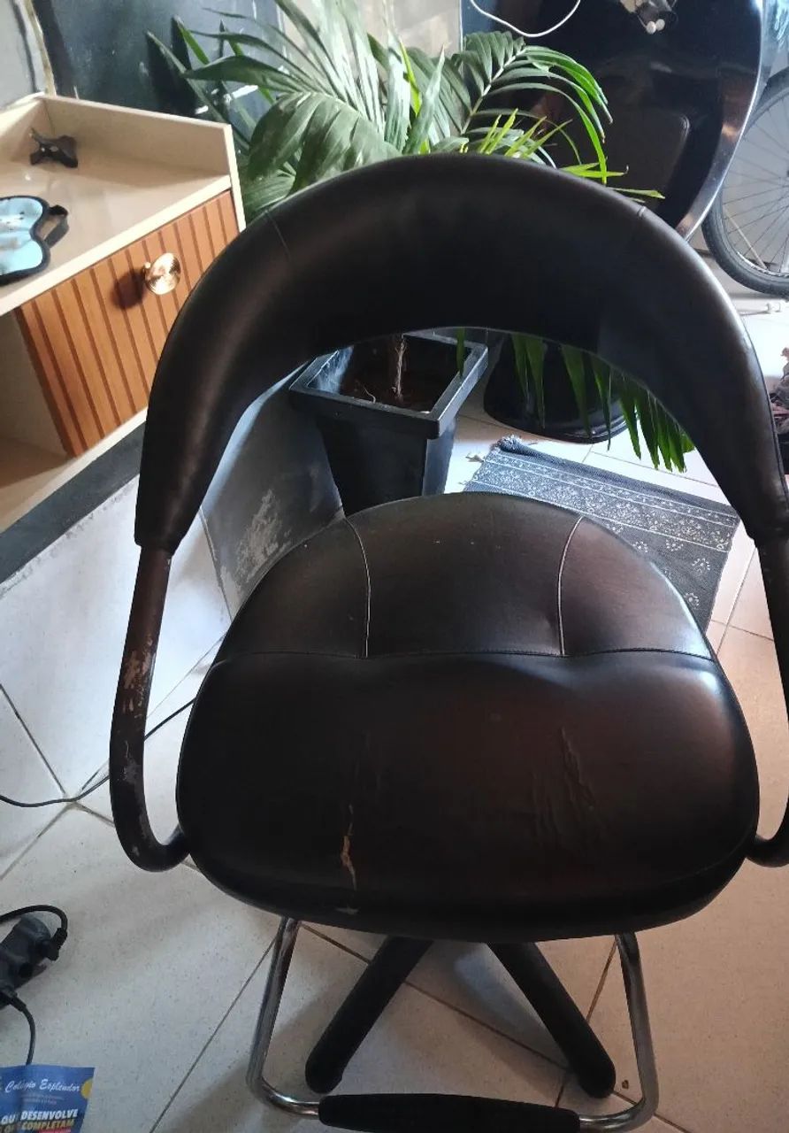 Salon Chair