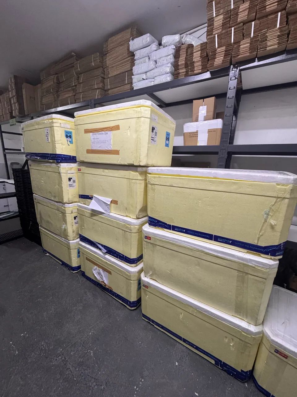 Caixa grande de isopor -  Cooler transportes aviário - Foto 4