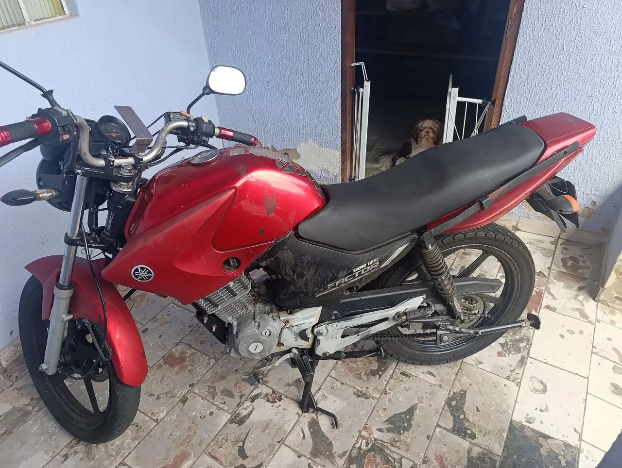 Factor 125c ED, COMPLETA - Foto 5