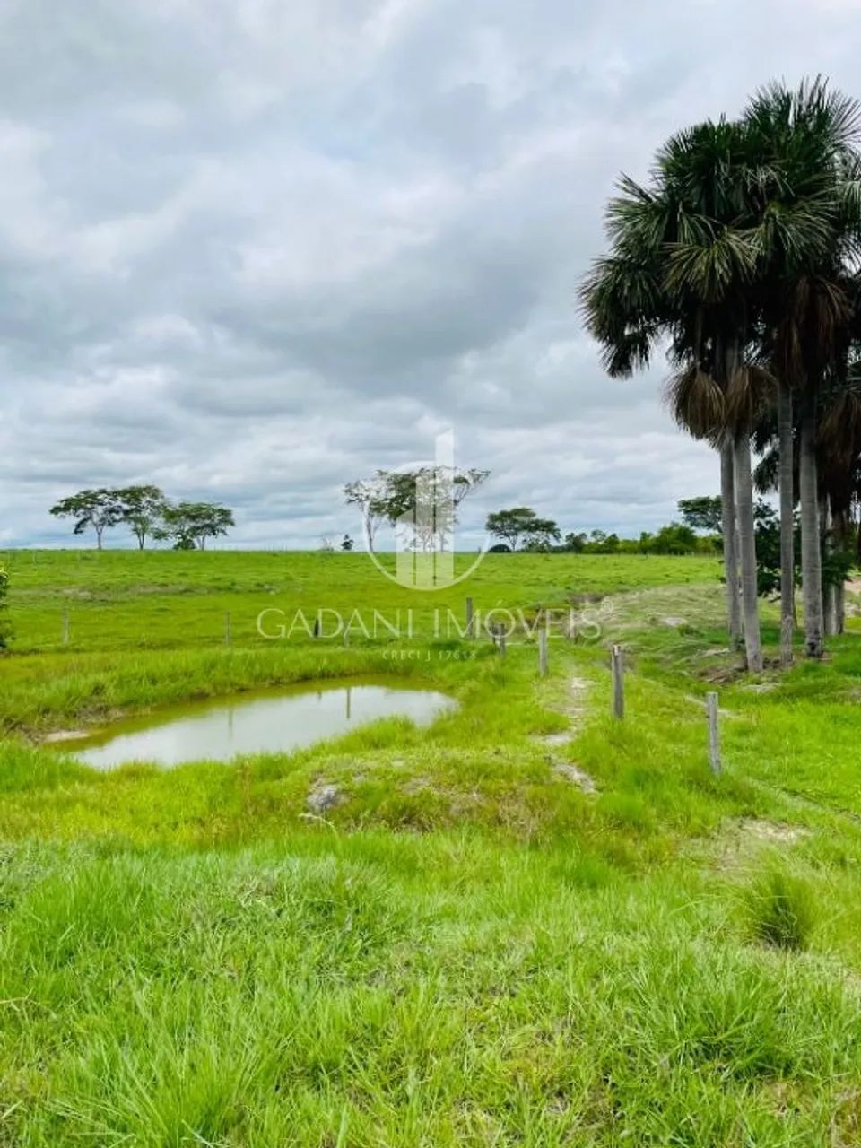 FAZENDA FORMADA a venda em COLÍDER/MT - Foto 5