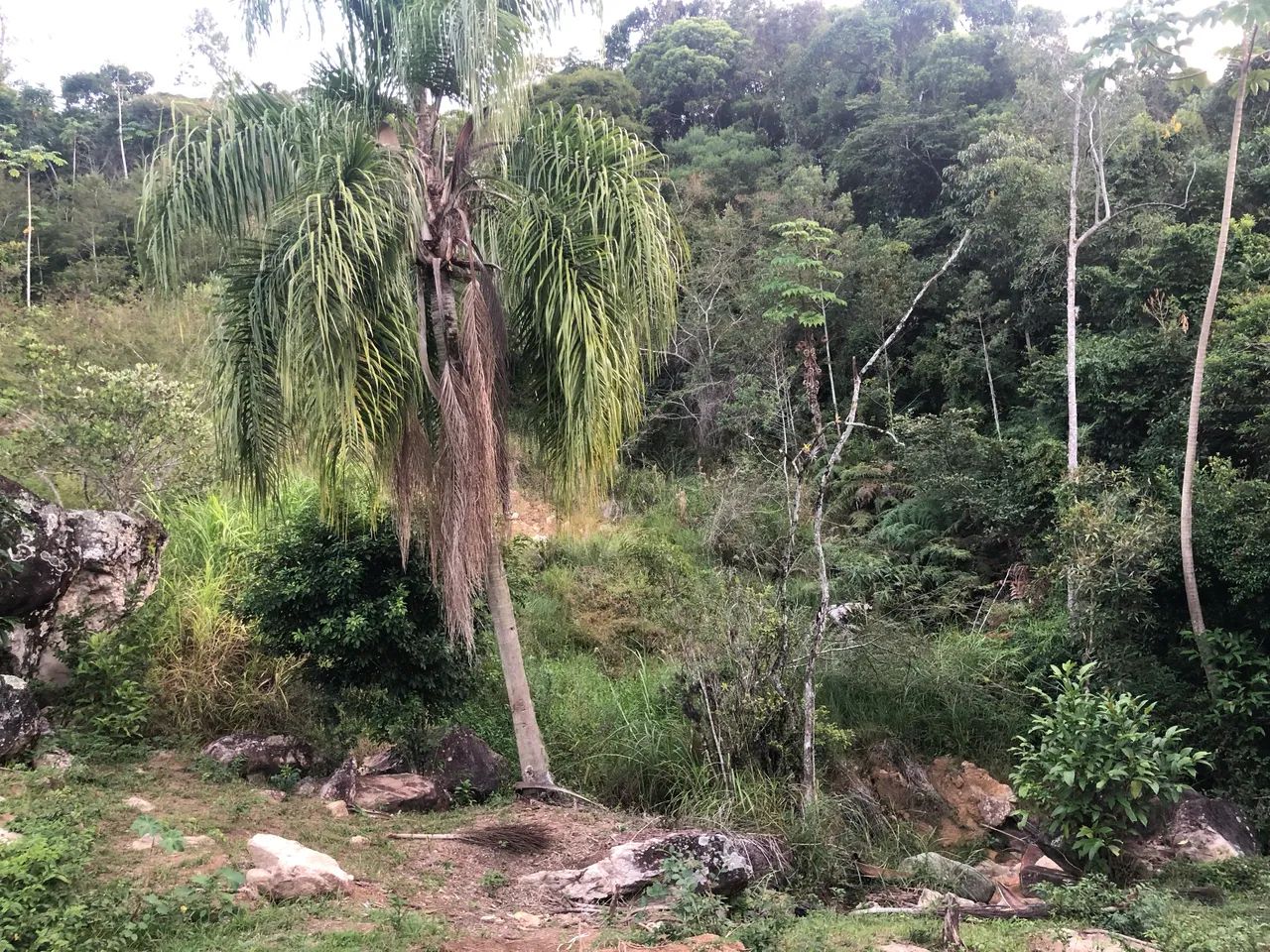 Terreno a venda  - Foto 5