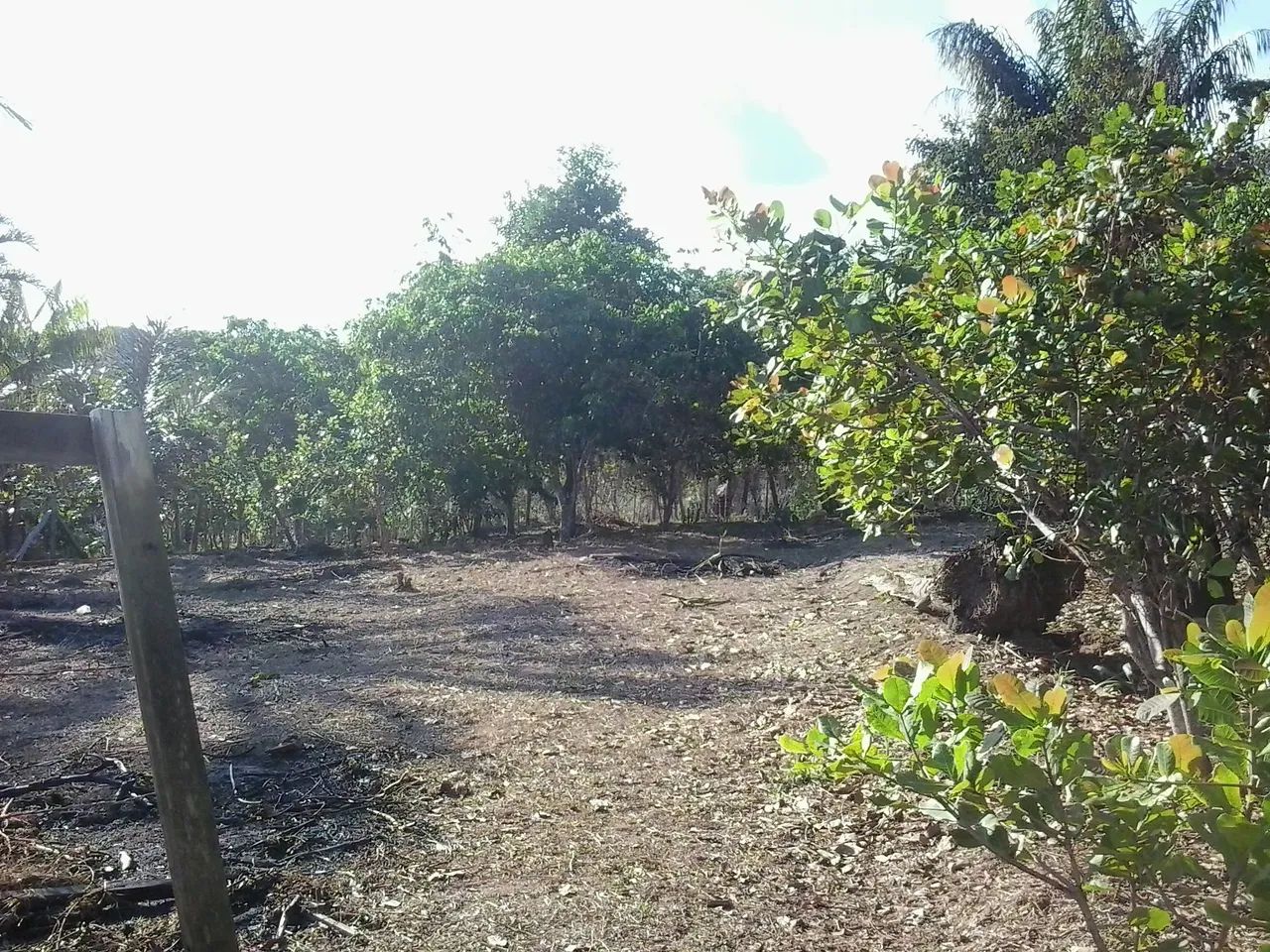 Ótimo terreno em Iranduba - Foto 5