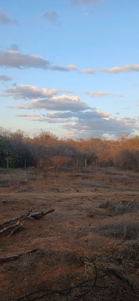 Fazenda Tocasul - Foto 4