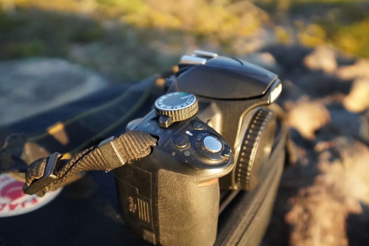 NIKON D3100 - Foto 4