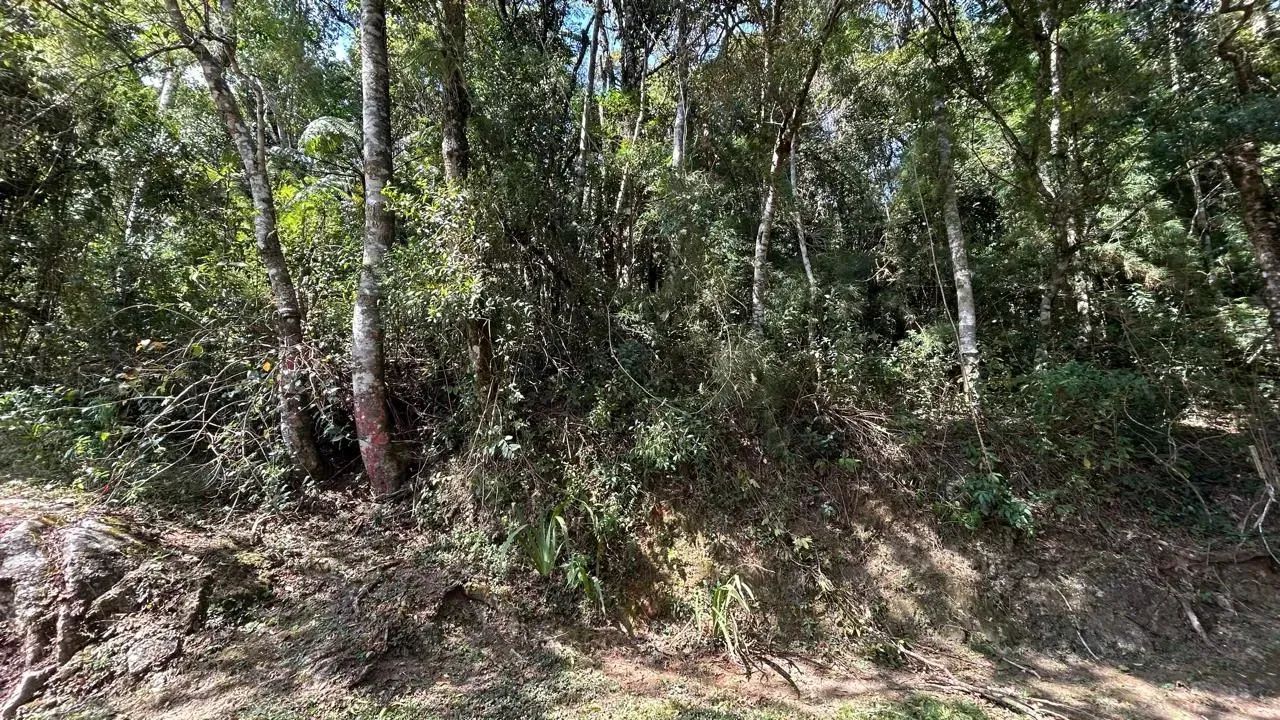 TERRENO EM RUA TRANQUILA E COM VISTA - Foto 3