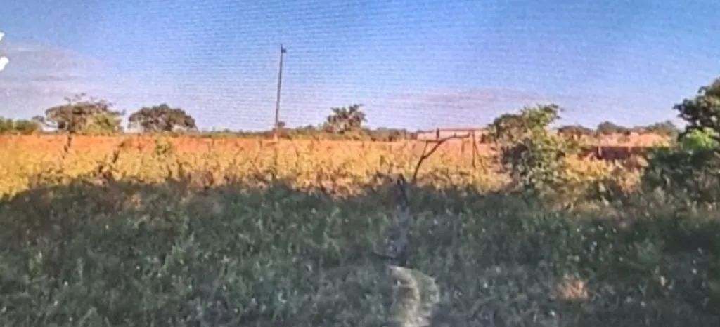 Otimo terreno para chacara - Foto 2