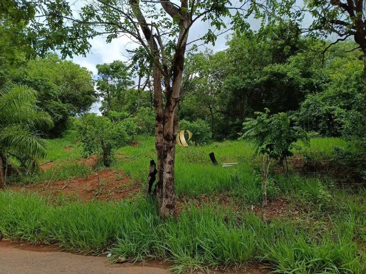 Terreno Represa em Capim Branco - Foto 2