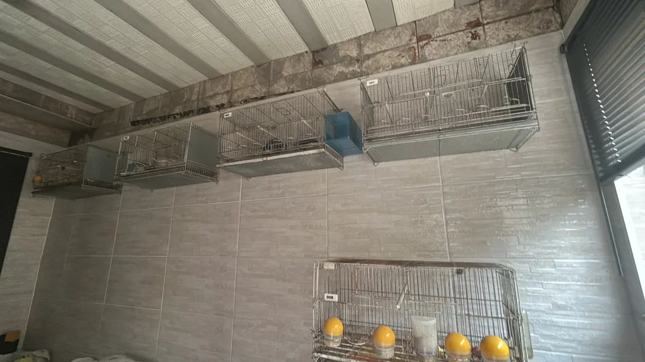 Vendo 2 conjuntos de gaiolas para canários entre outros pássaros - Foto 4