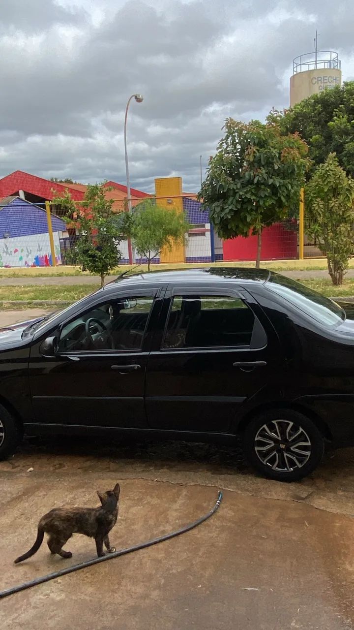 Fiat Siena 2011