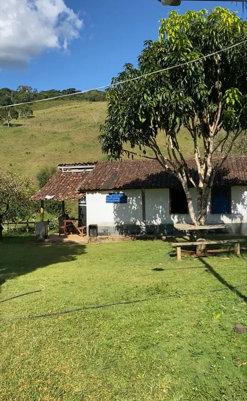 Venda - Foto 3