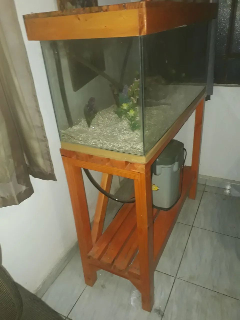 AQUÁRIO  - Foto 3