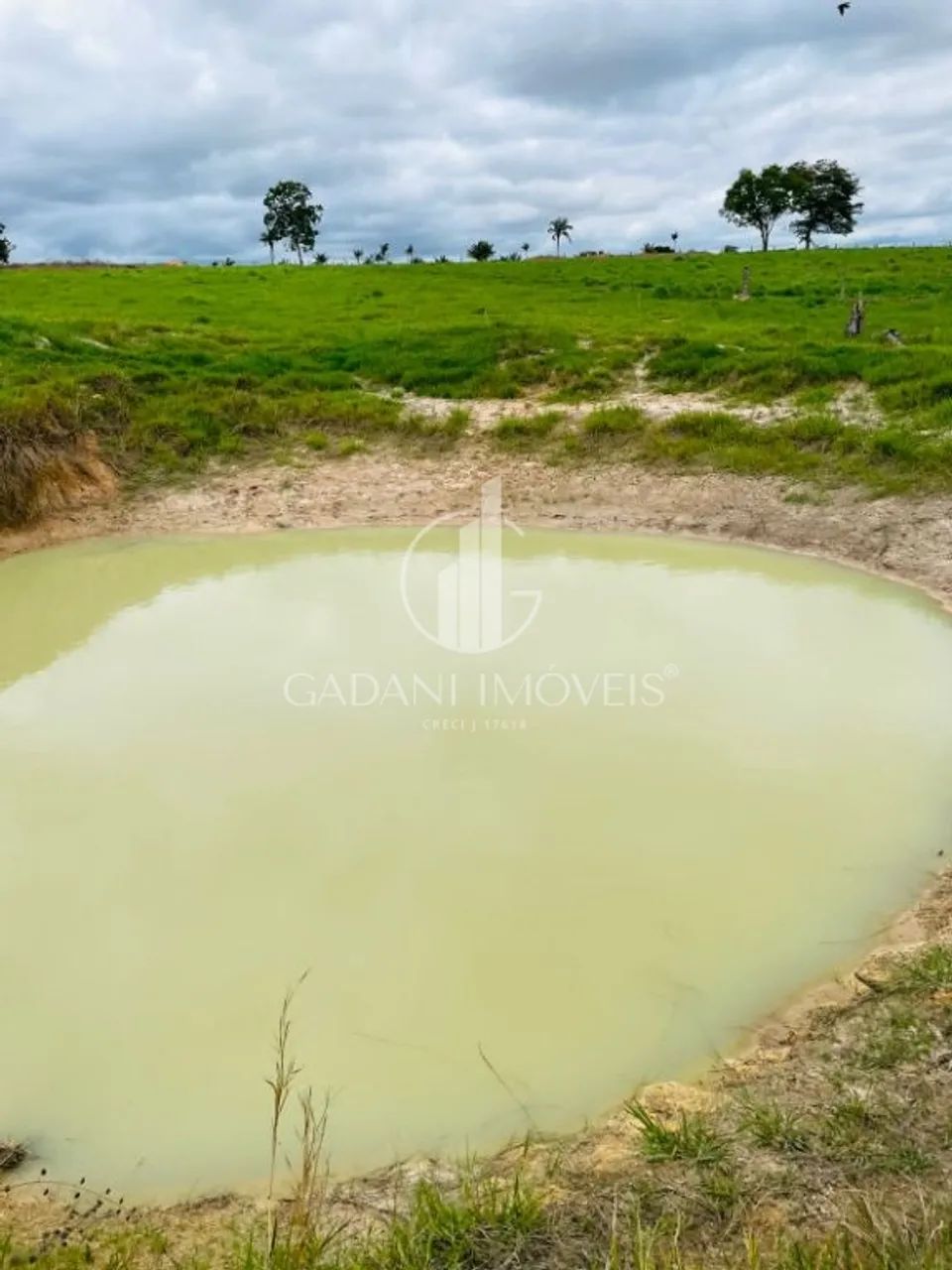 FAZENDA FORMADA a venda em COLÍDER/MT - Foto 3