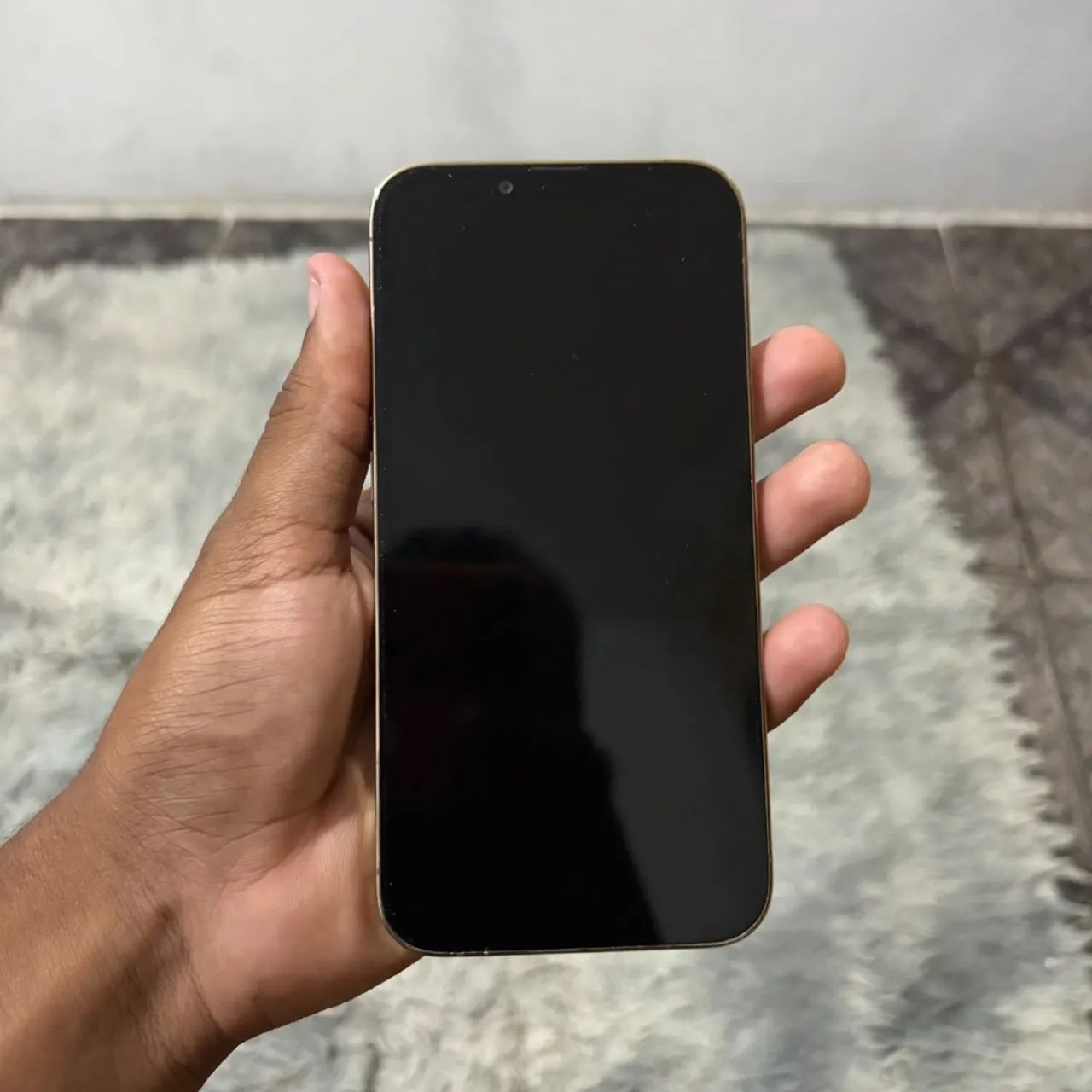 iPhone 13 Pro 