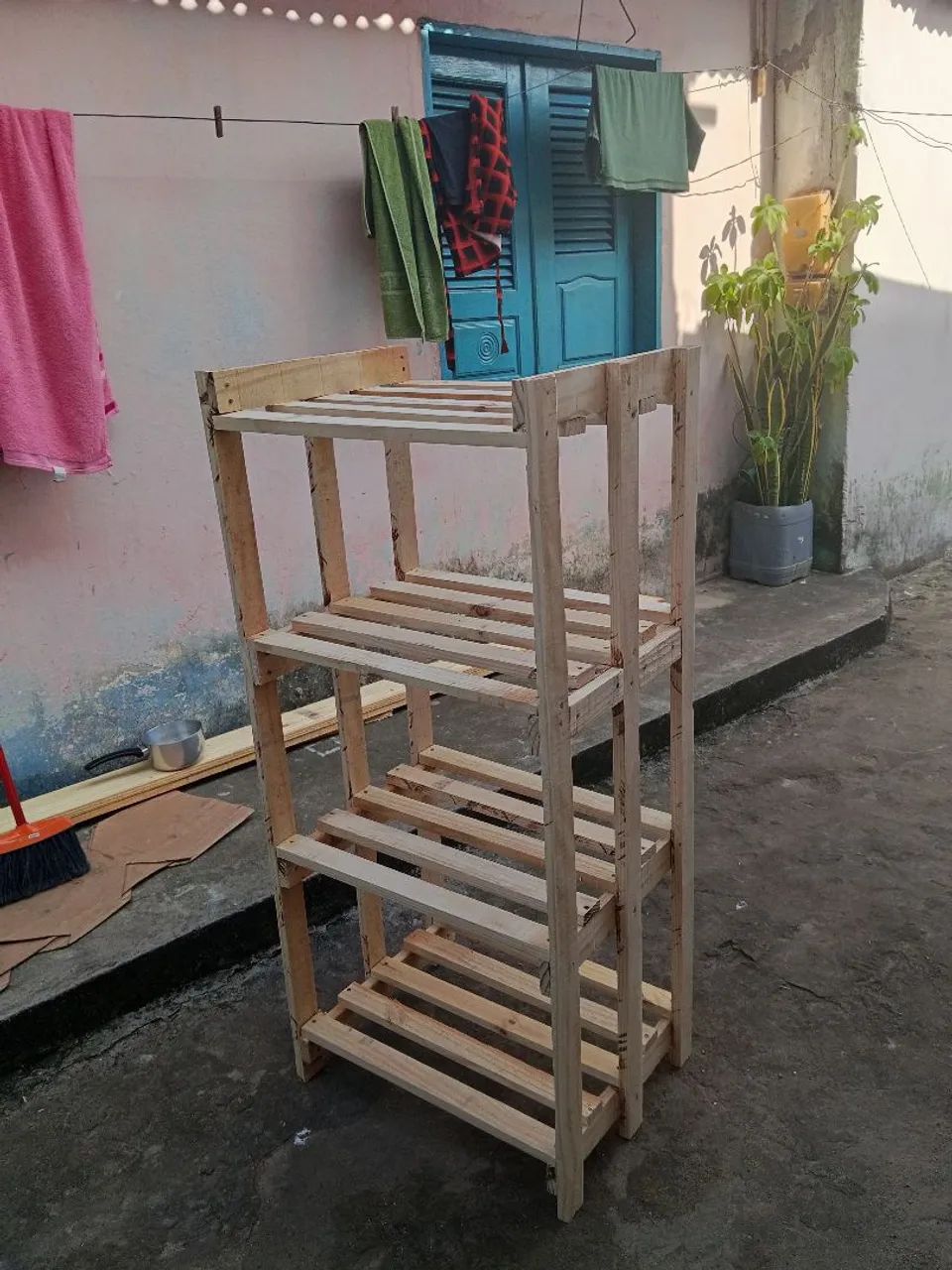 organizadora