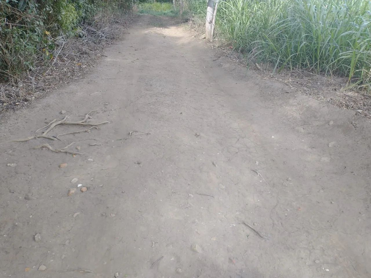 Vende-se Terreno 3.000m2 
