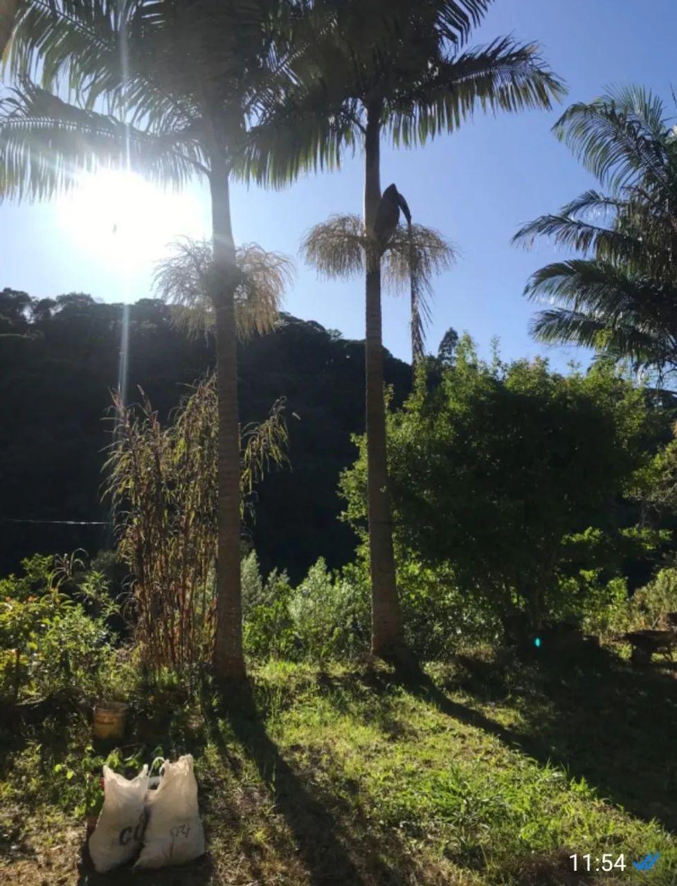Oportunidade - Foto 4