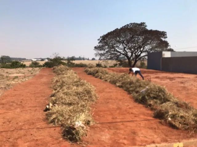 Foto - Limeira - Vila Teixeira Marques