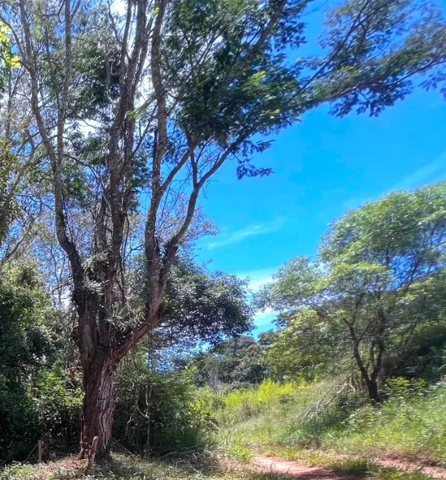 VENDO TERRENO A 600MTS DA REPRESA DE ITUPARARANGA  - Foto 5
