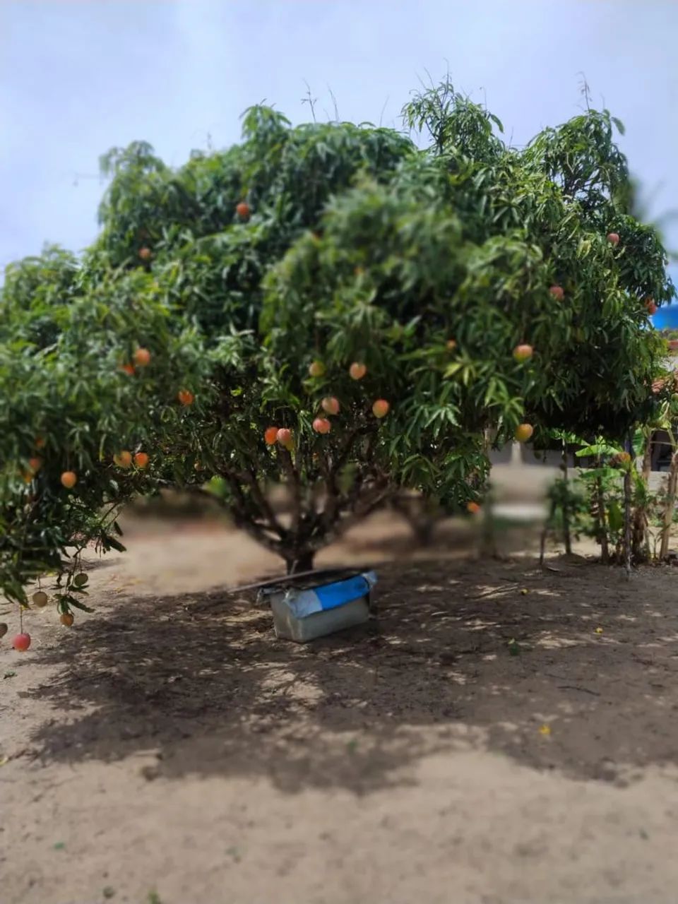 Terreno em Paudalho