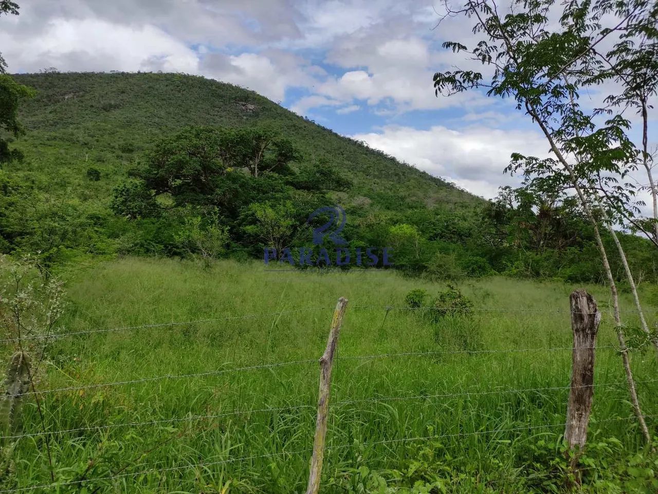 Fazenda,1.013 ha Zona Rural de Jequié, - R$ 8 mi cod.68942 - Foto 4