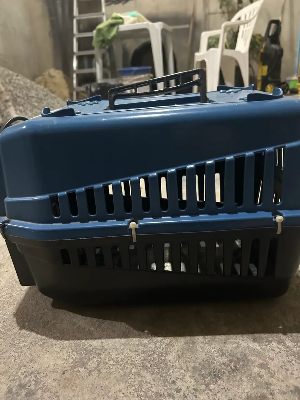 Transporte de Pet - Foto 4