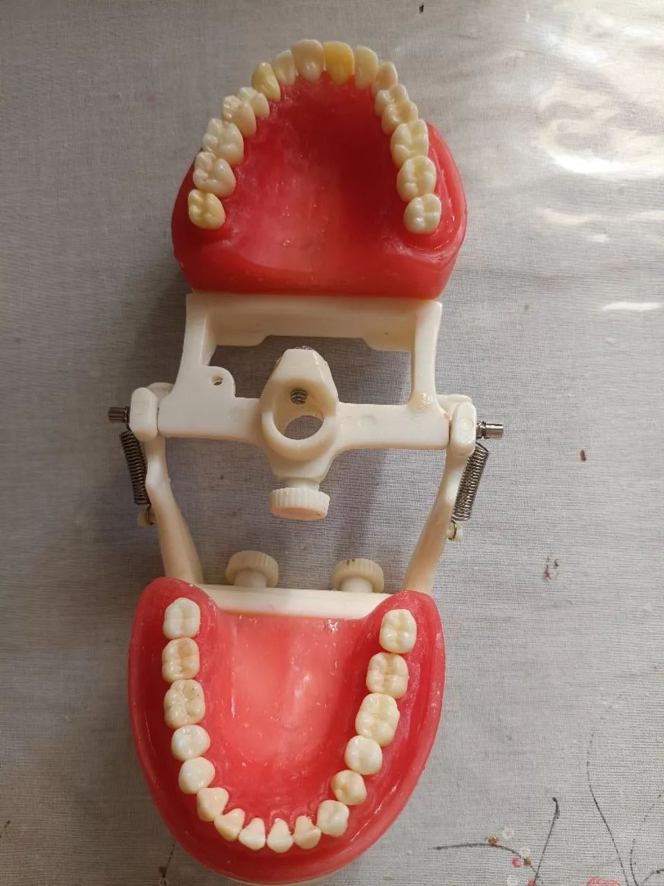 Manequim de dentistica - Foto 2
