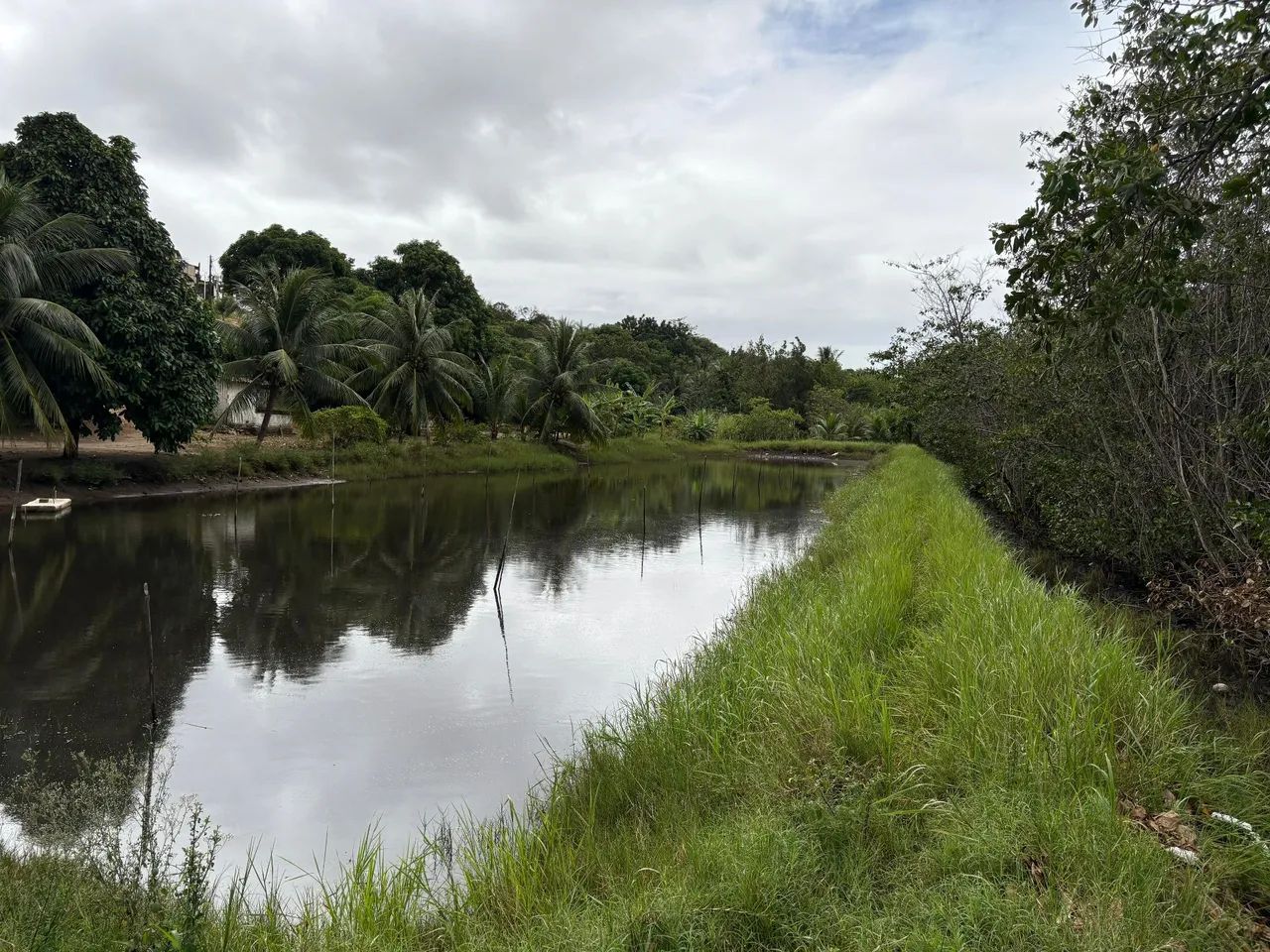 Granja em natal - Foto 5