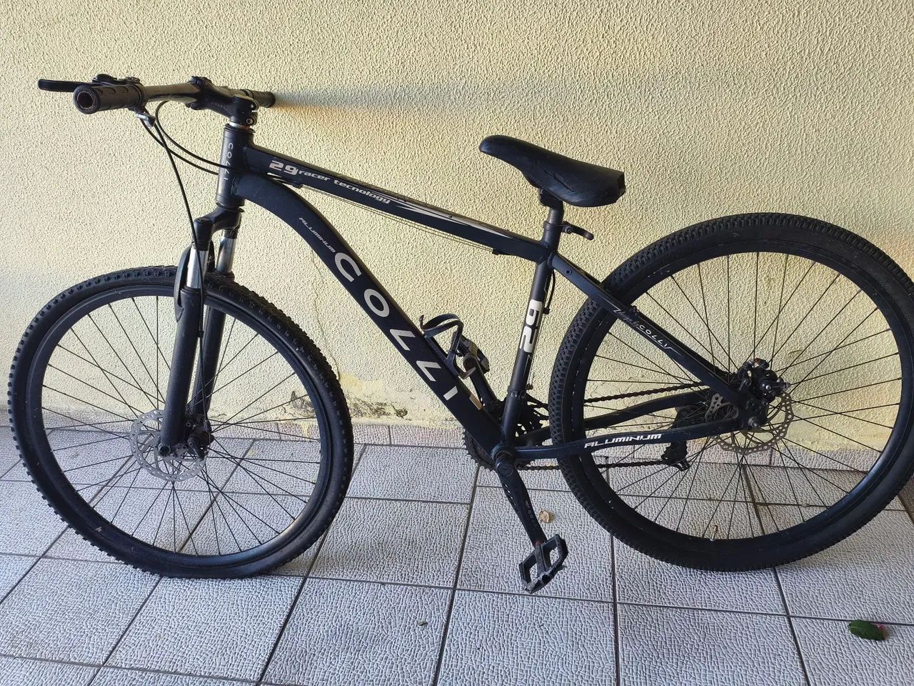 Bicicleta
