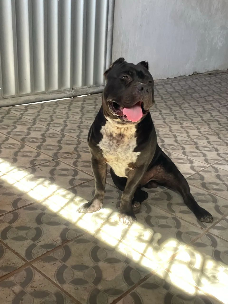 A procura de namorada - Foto 2
