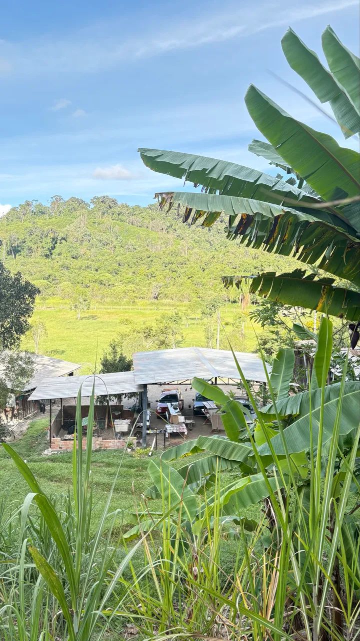 Foto - Pinhais - Jardim Amélia
