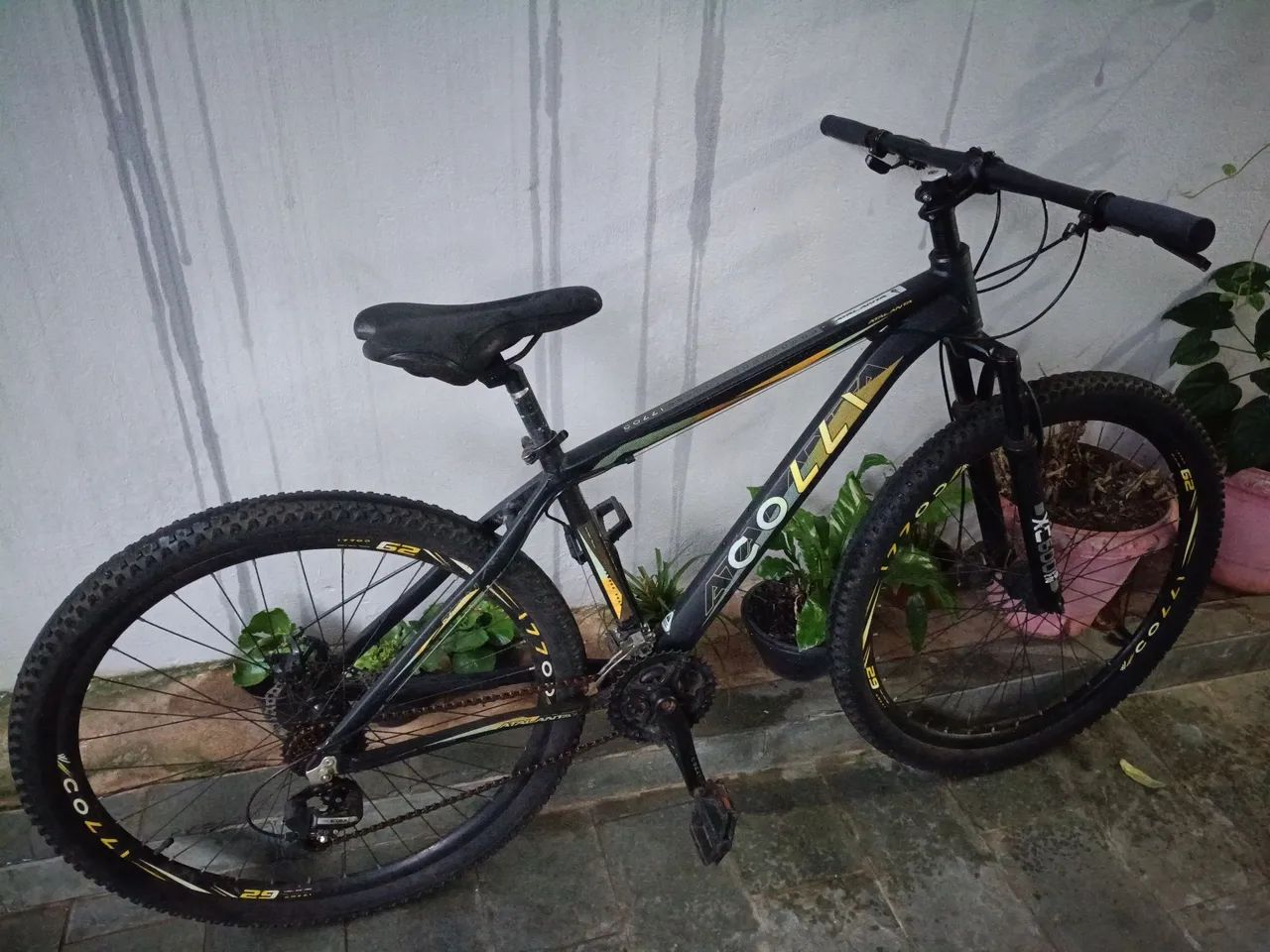 Bike coli - Foto 3