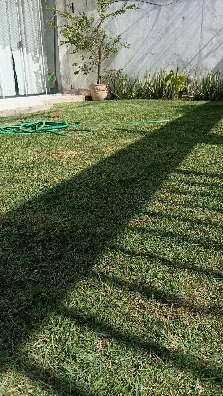 JARDINEIRO PROFISSIONAL  - Foto 2