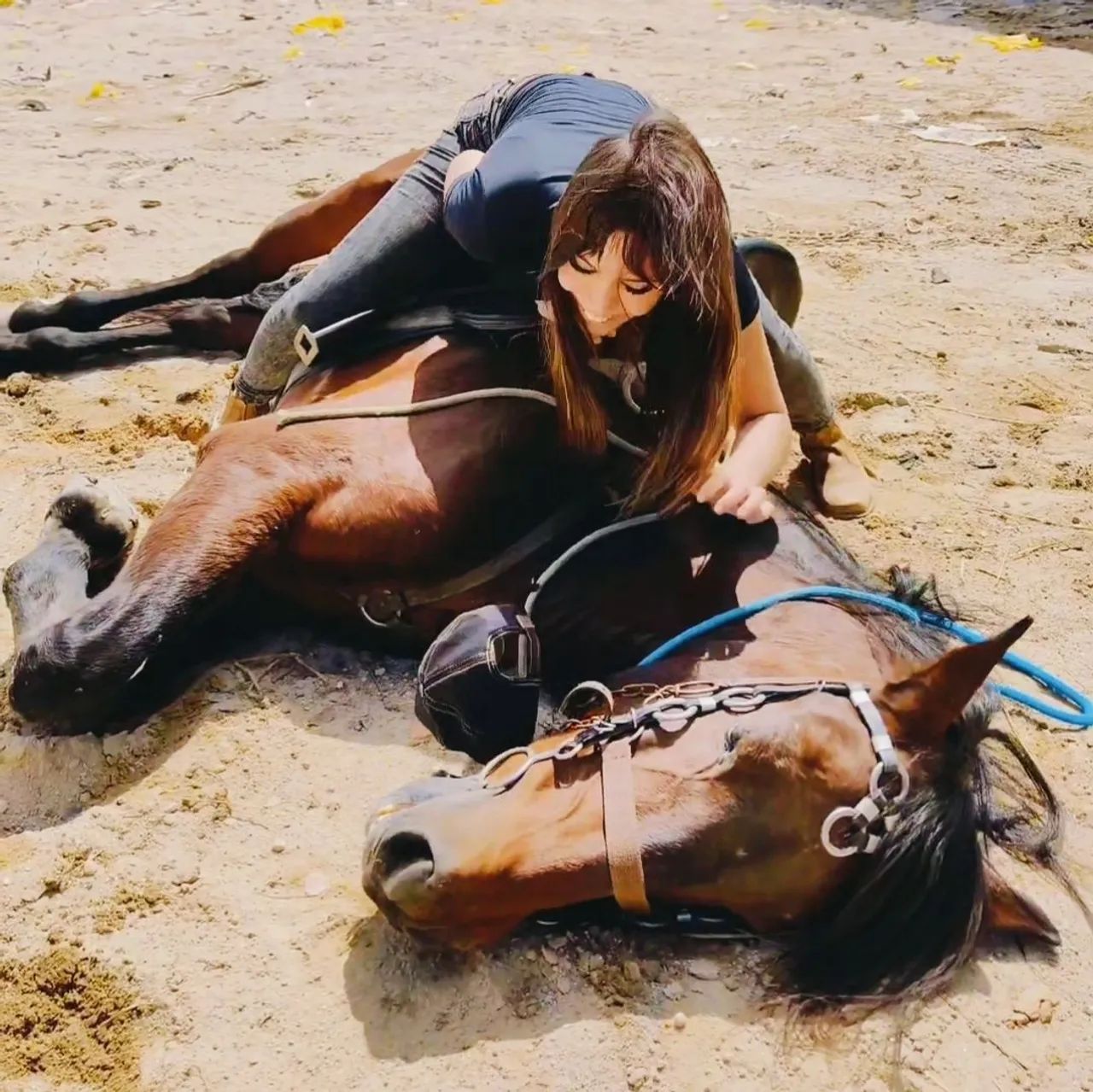 CAVALO PURO SANGUE LUSITANO OPORTUNIDADE ÚNICA!!! - Foto 3