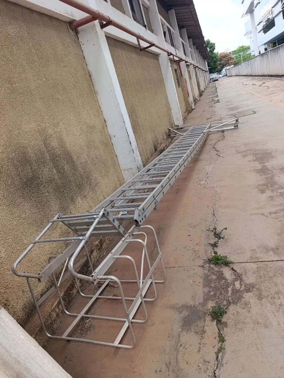 Escada trepadeira 