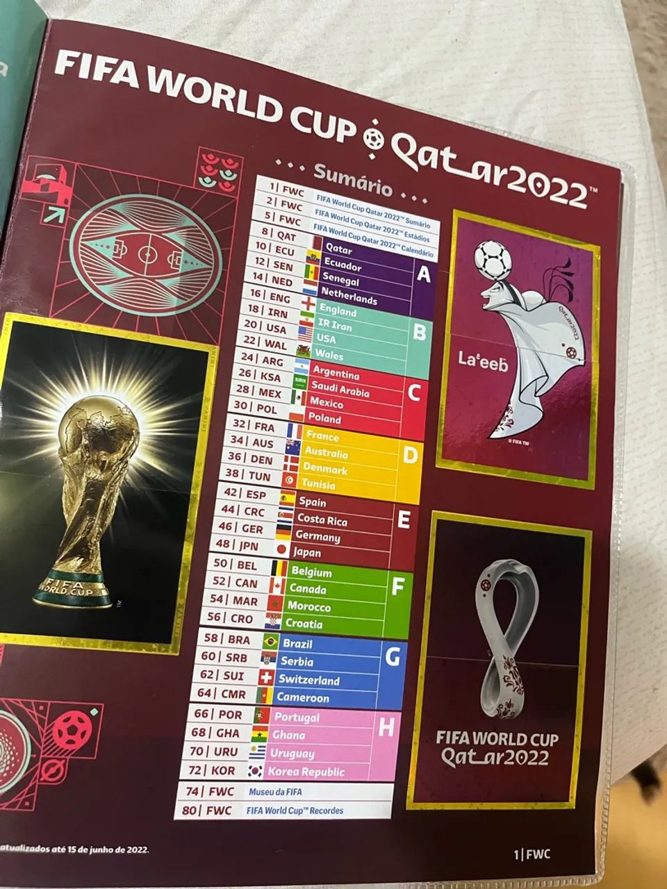 Álbum Copa do Mundo 2022 com Capa e Completo - Foto 5