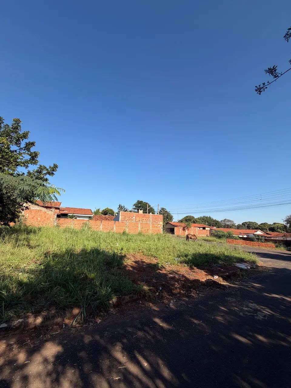TERRENO EM UCHOA / SP 