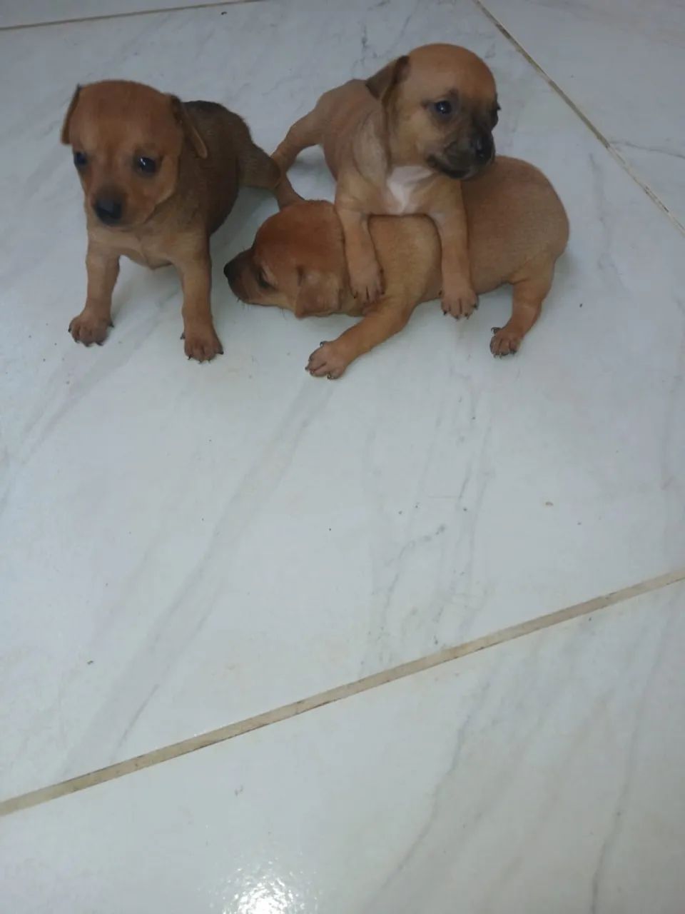 Vendo  - Foto 2