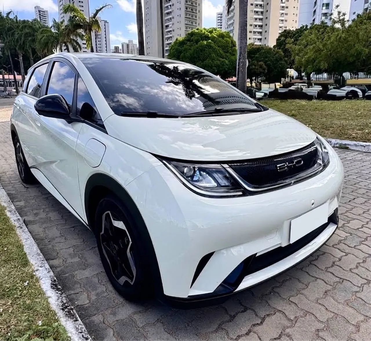 BYD Dolphin EV (Elétrico) 2025
