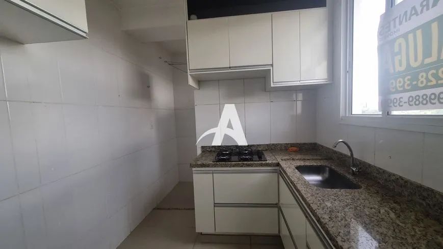 Aluguel Apartamento SANTA MÔNICA - Foto 5