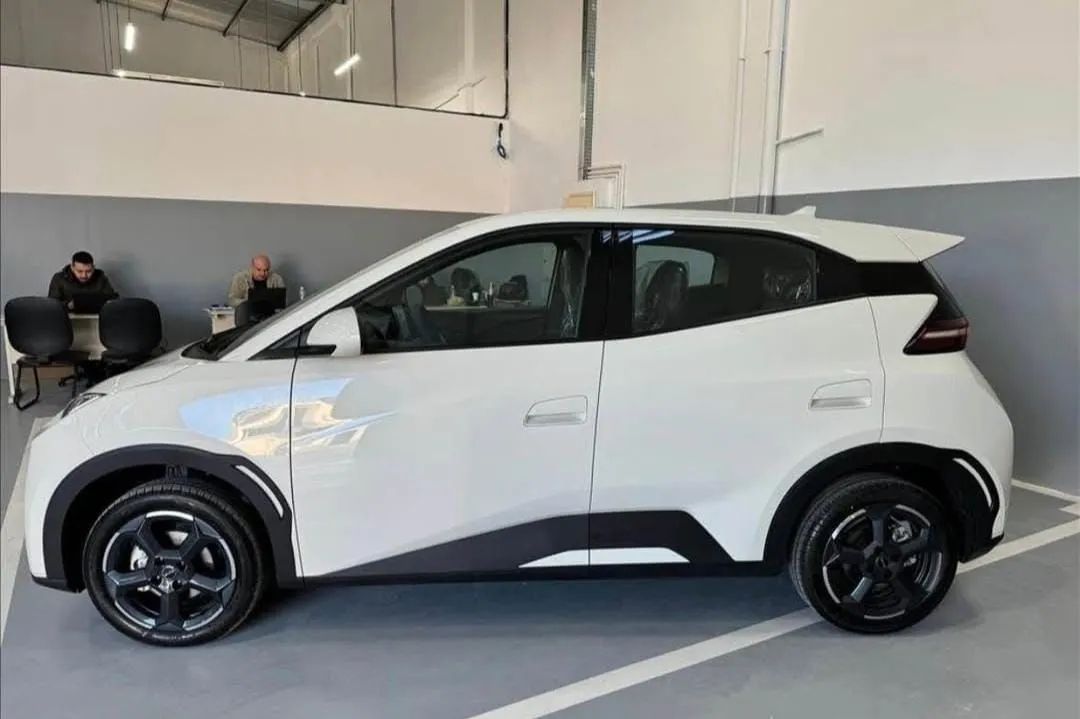BYD Dolphin Mini (Elétrico) 2025 - Foto 3